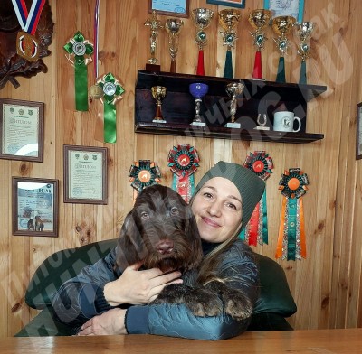 Новые владельцы